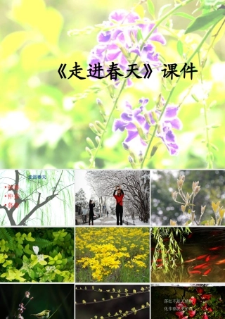 人教版四年级小学美术课件-《走进春天》课件1.ppt