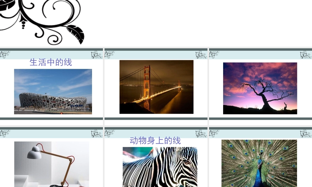 人教版四年级小学美术课件-不同的线条.ppt