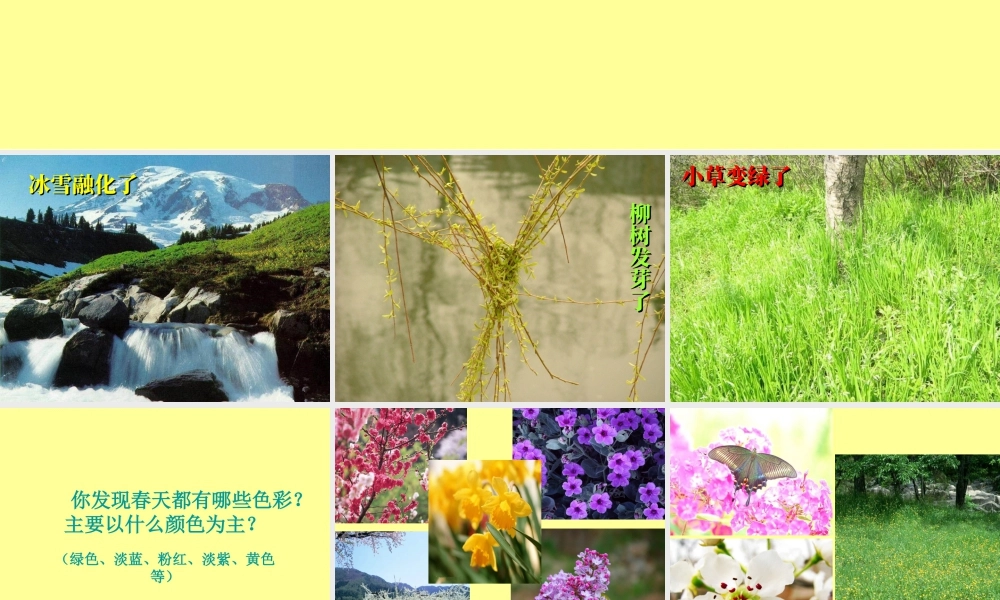 人教版四年级小学美术课件-春天的色彩.ppt