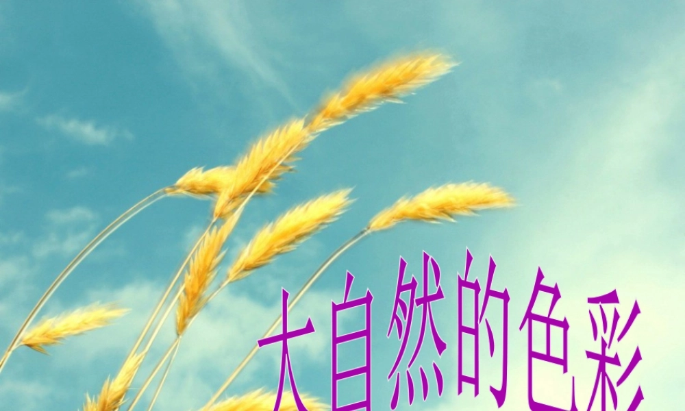 人教版四年级小学美术课件-大自然的色彩.ppt