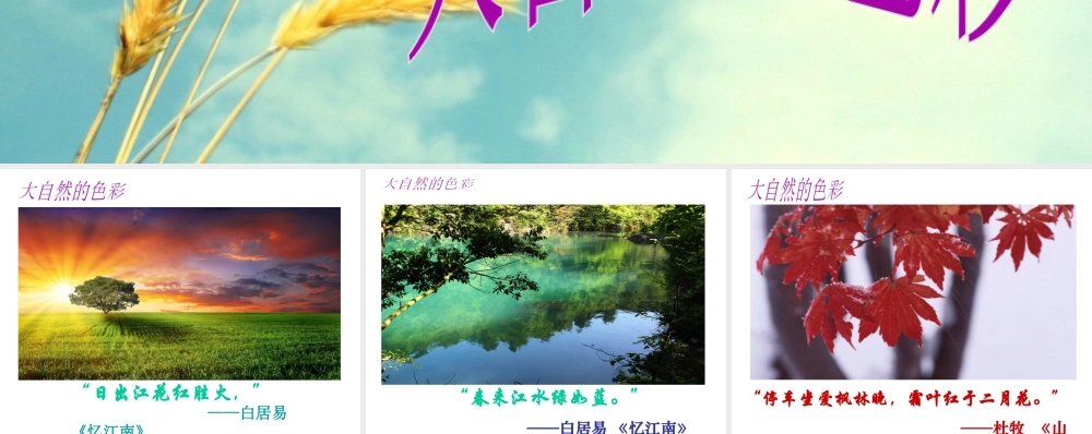 人教版四年级小学美术课件-大自然的色彩.ppt