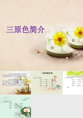 人教版四年级小学美术课件-三原色简介.ppt