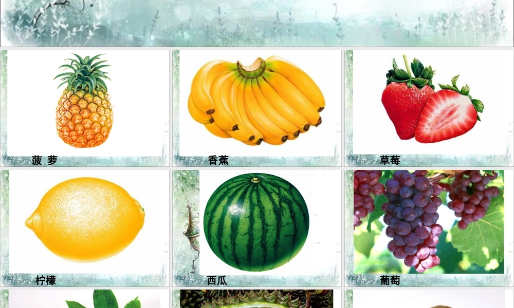 人教版四年级小学美术课件-水果欣赏.ppt