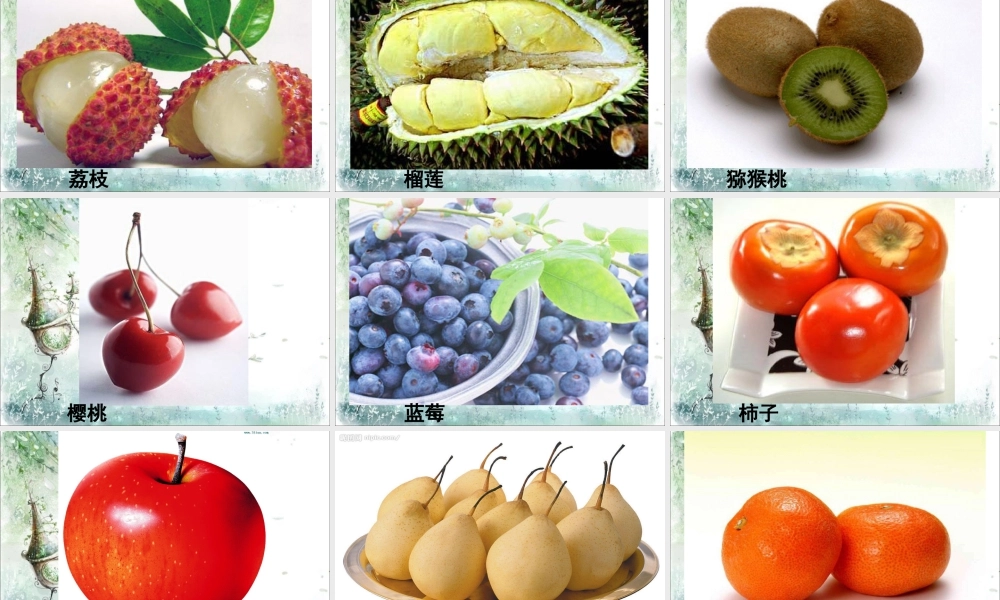 人教版四年级小学美术课件-水果欣赏.ppt