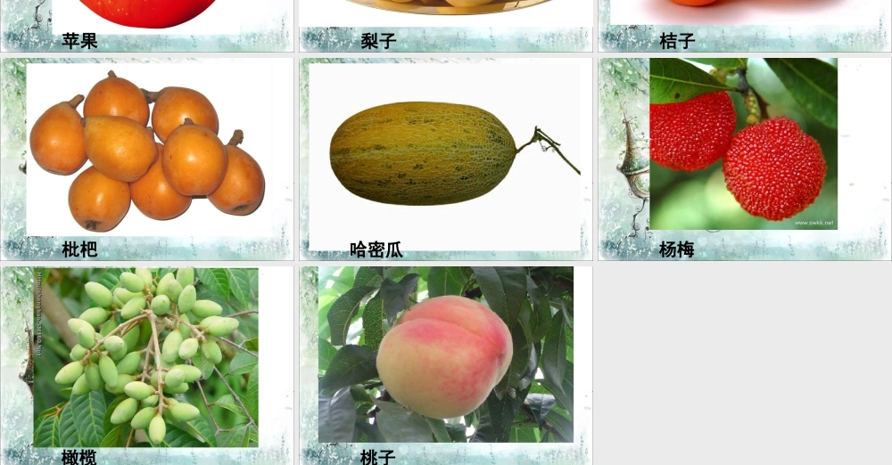 人教版四年级小学美术课件-水果欣赏.ppt