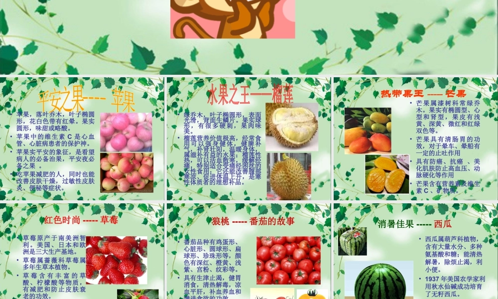 人教版四年级小学美术课件-水果知识介绍.ppt