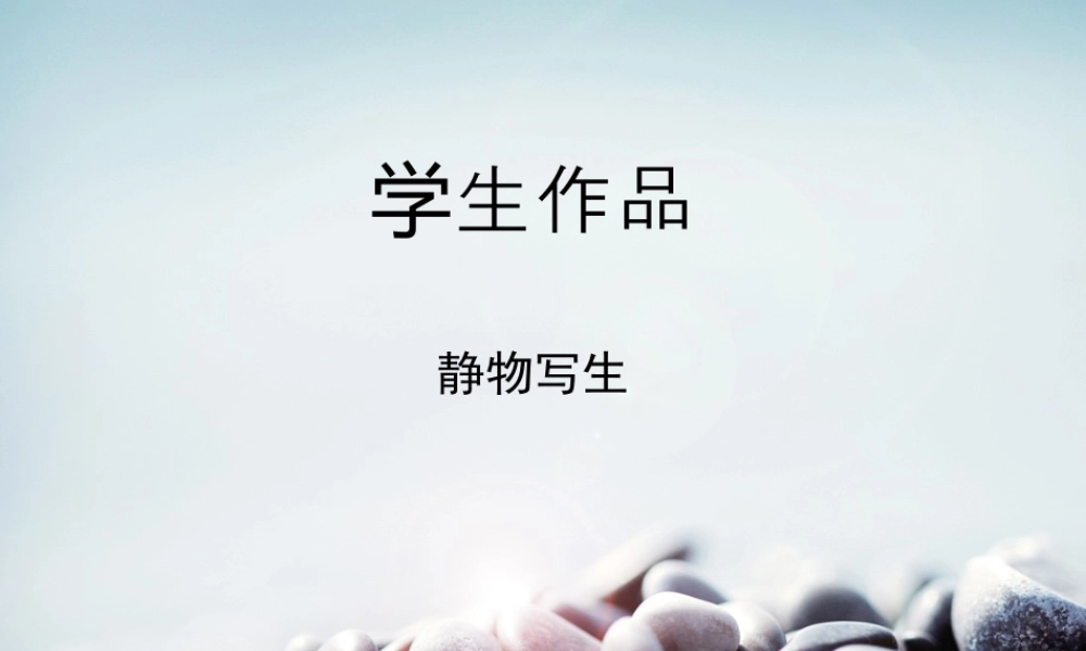 人教版四年级小学美术课件-学生作品_静物写生.ppt