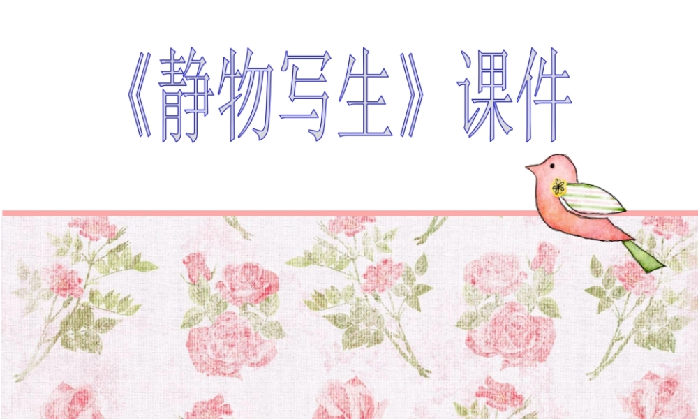 人教版五年级小学美术课件-《静物写生》课件02.ppt