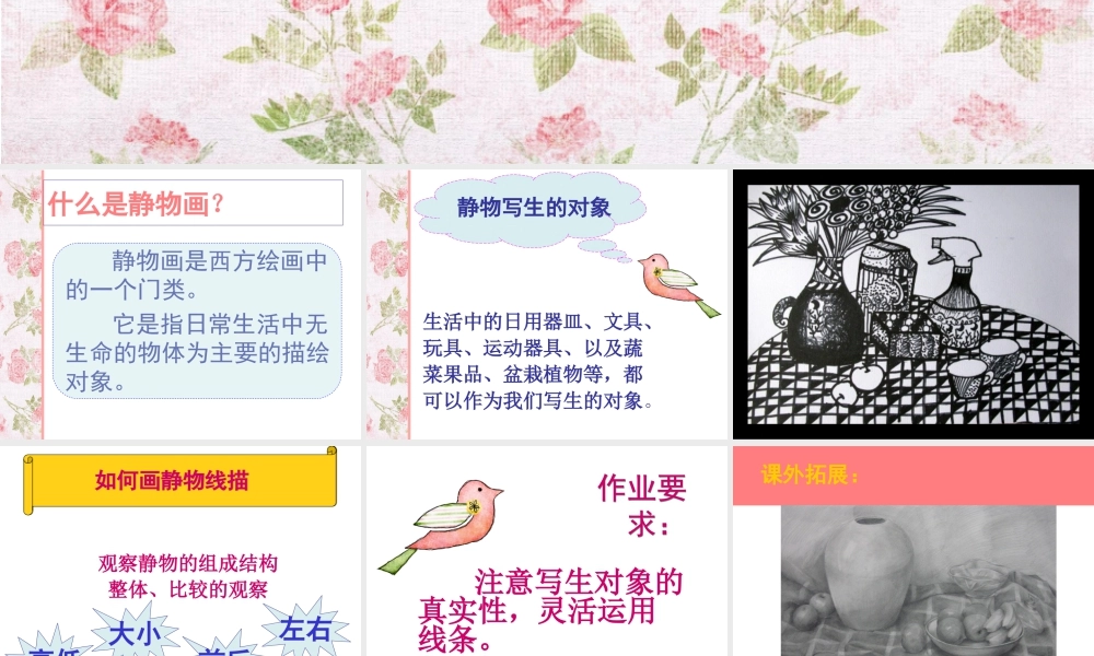 人教版五年级小学美术课件-《静物写生》课件02.ppt