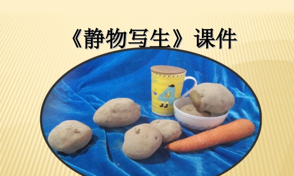人教版五年级小学美术课件-《静物写生》课件03.ppt