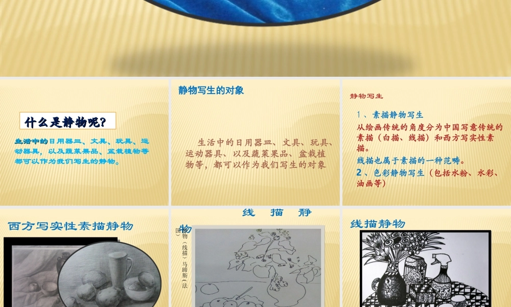 人教版五年级小学美术课件-《静物写生》课件03.ppt