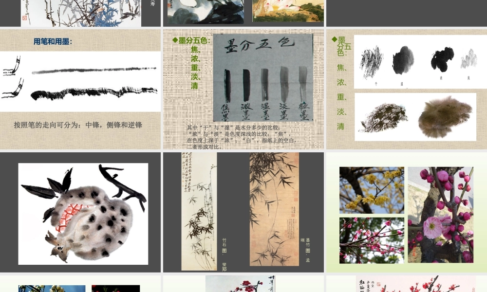 人教版五年级小学美术课件-《鸟语花香》课件02.ppt