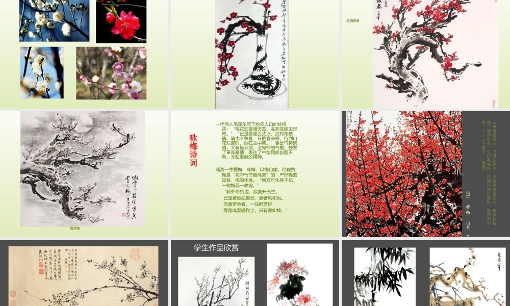 人教版五年级小学美术课件-《鸟语花香》课件02.ppt