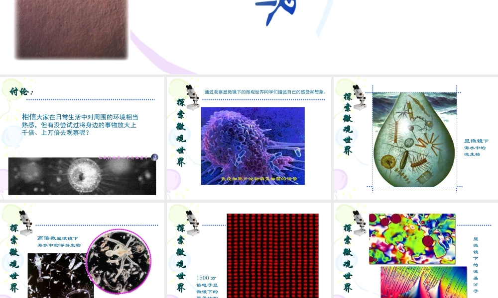 人教版五年级小学美术课件-《微观世界》课件.ppt