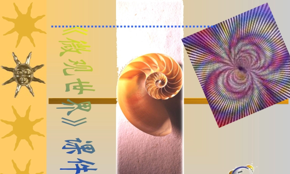 人教版五年级小学美术课件-《微观世界》课件02.ppt