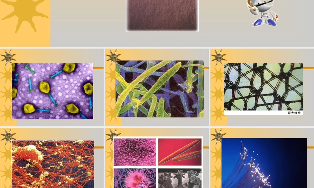 人教版五年级小学美术课件-《微观世界》课件02.ppt