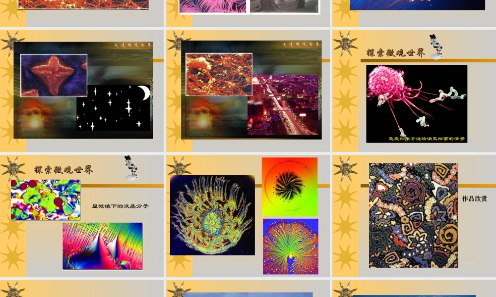 人教版五年级小学美术课件-《微观世界》课件02.ppt