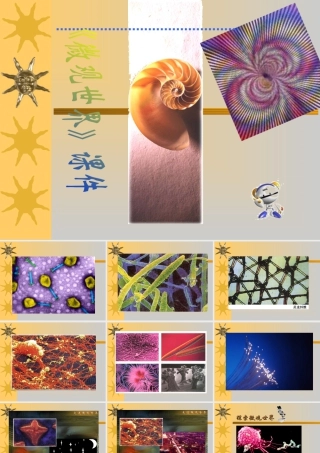 人教版五年级小学美术课件-《微观世界》课件02.ppt