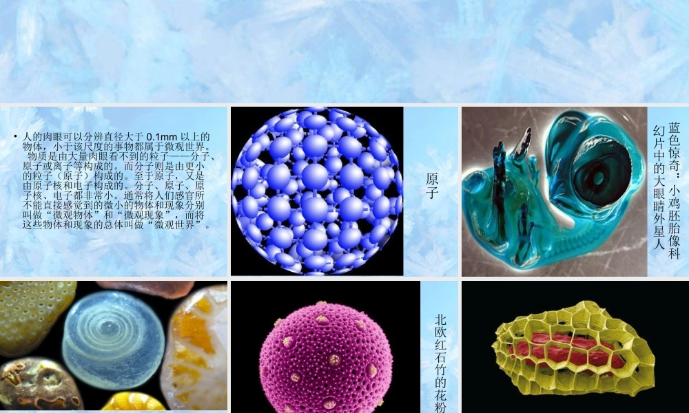 人教版五年级小学美术课件-《微观世界》课件03.ppt