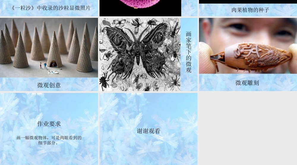 人教版五年级小学美术课件-《微观世界》课件03.ppt