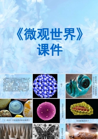 人教版五年级小学美术课件-《微观世界》课件03.ppt