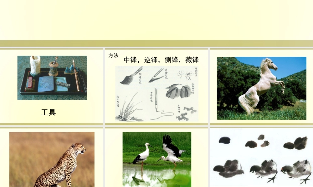 人教版五年级小学美术课件-《写意动物》课件02.ppt