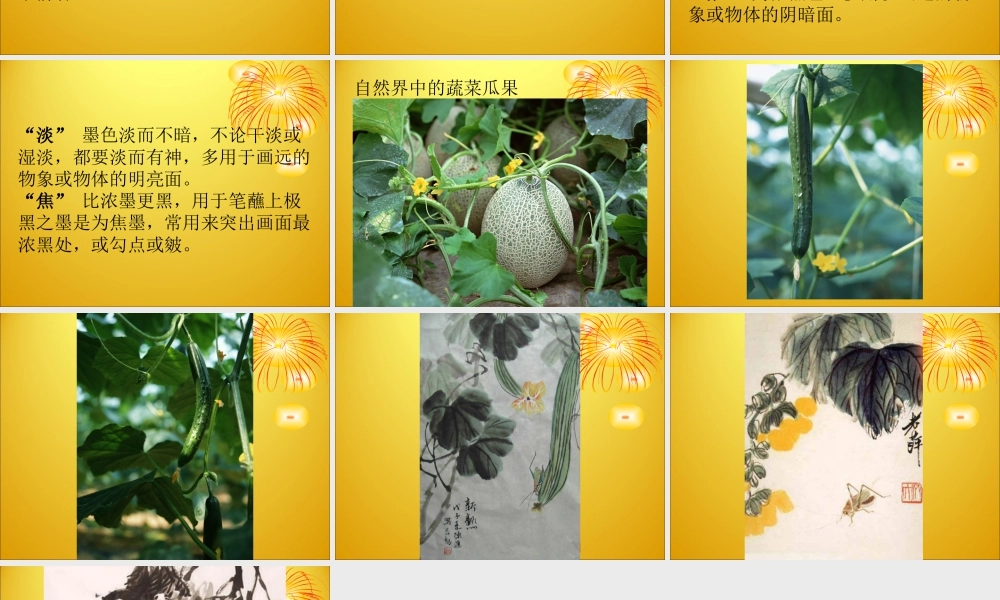 人教版五年级小学美术课件-《写意蔬果》课件.ppt