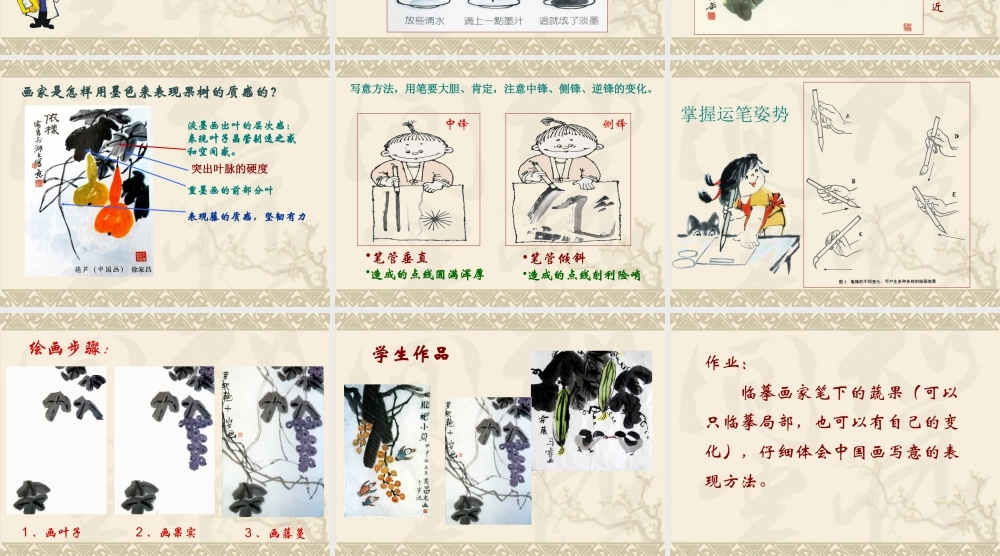 人教版五年级小学美术课件-《写意蔬果》课件02.ppt