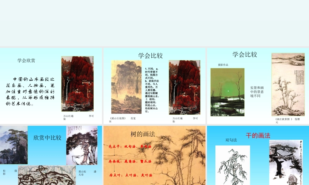 人教版五年级小学美术课件-《学画松树》课件02.ppt