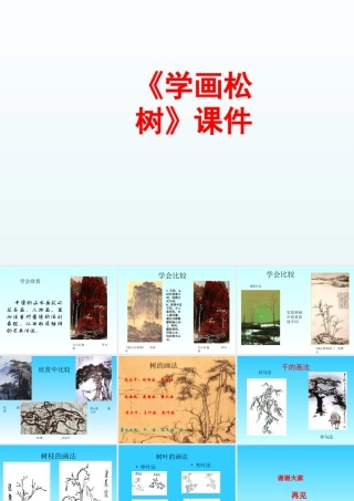 人教版五年级小学美术课件-《学画松树》课件02.ppt