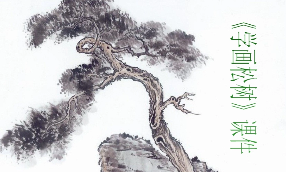 人教版五年级小学美术课件-《学画松树》课件03.ppt