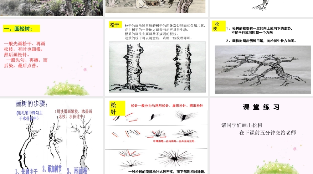 人教版五年级小学美术课件-《学画松树》课件03.ppt