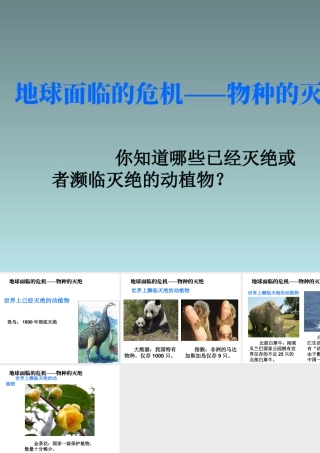人教版五年级小学美术课件-地球面临的危机——物种的灭绝.ppt