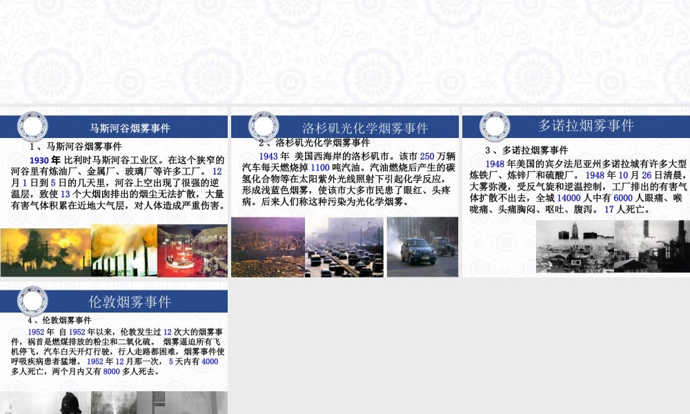 人教版五年级小学美术课件-全球环境污染事件.ppt