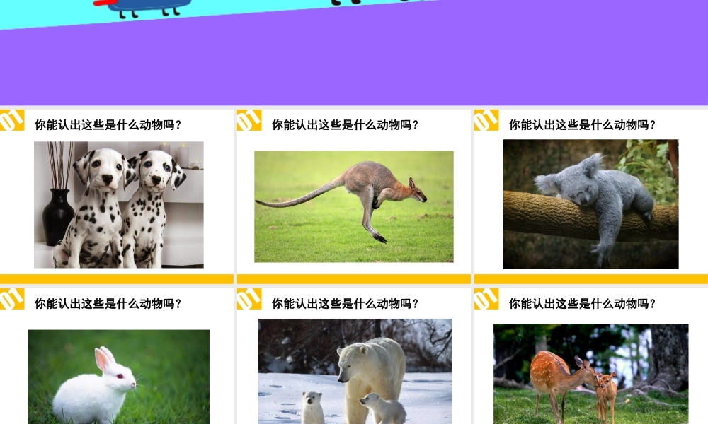 人教版一年级小学美术课件-《可爱的动物》课件1.ppt