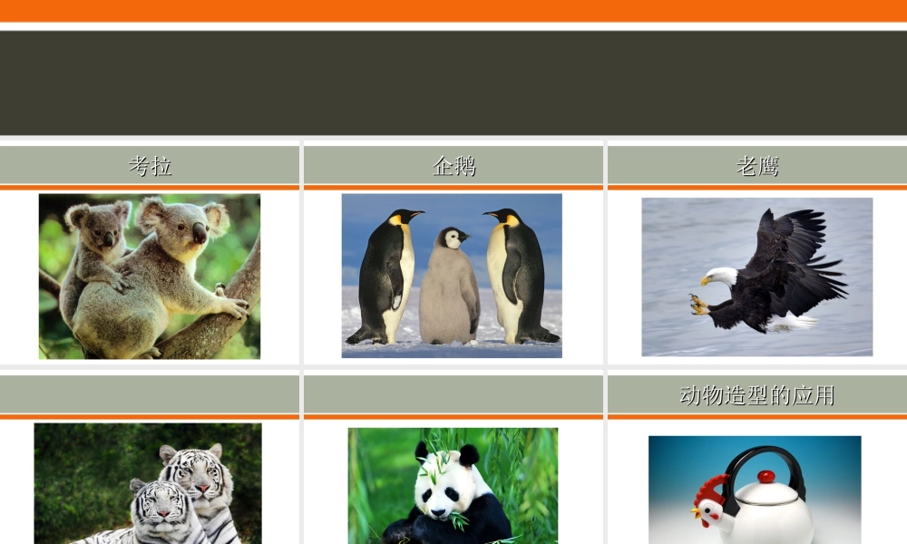 人教版一年级小学美术课件-《可爱的动物》课件2.ppt