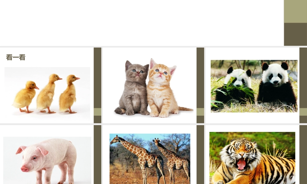 人教版一年级小学美术课件-《可爱的动物》课件3.ppt