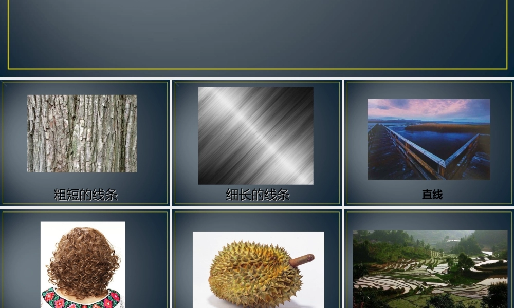 人教版一年级小学美术课件-《摸一摸_画一画》课件2.ppt