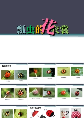 人教版一年级小学美术课件-《瓢虫的花衣裳》教案1.ppt