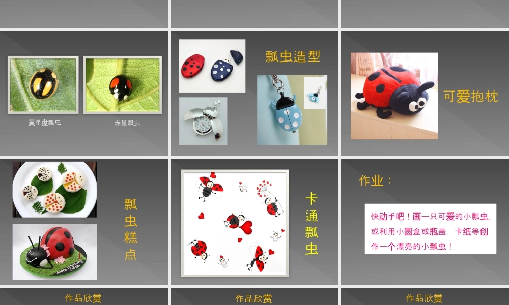 人教版一年级小学美术课件-《瓢虫的花衣裳》教案2.ppt