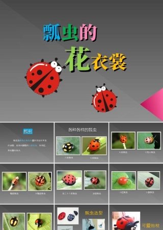 人教版一年级小学美术课件-《瓢虫的花衣裳》教案2.ppt