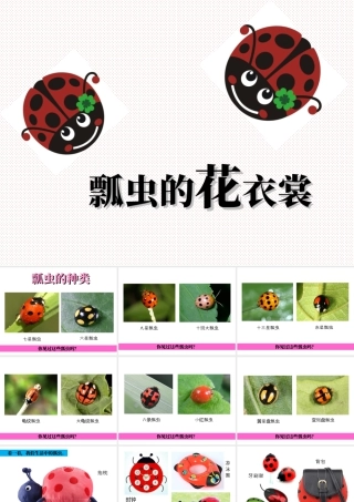 人教版一年级小学美术课件-《瓢虫的花衣裳》教案3.ppt