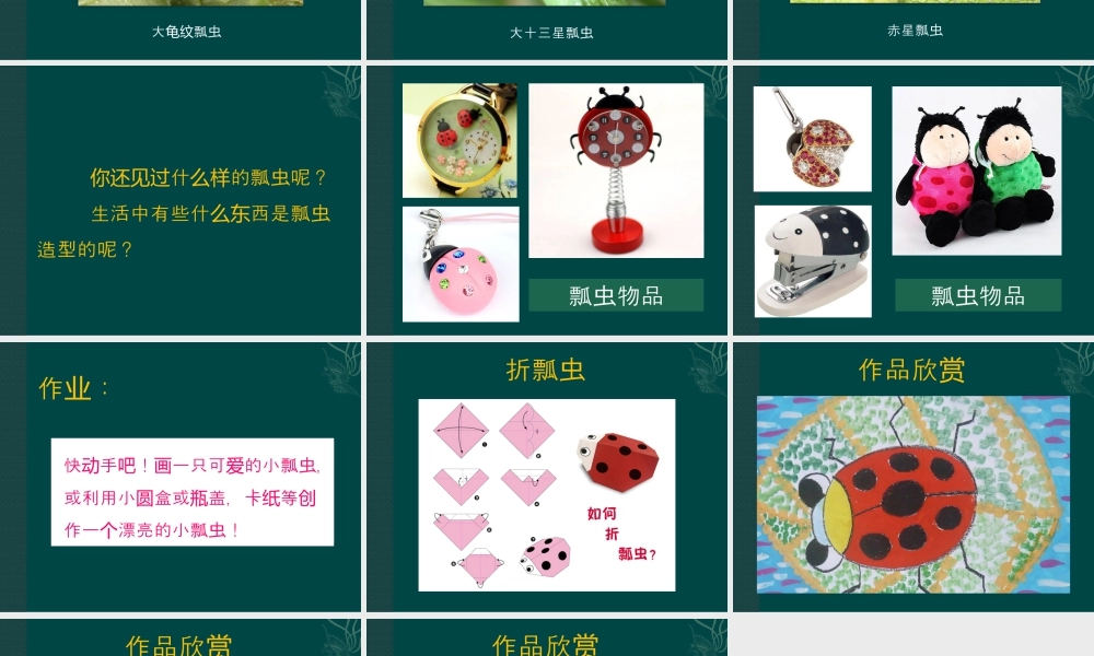人教版一年级小学美术课件-《瓢虫的花衣裳》教案4.ppt