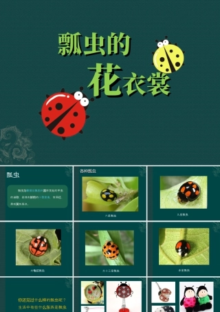 人教版一年级小学美术课件-《瓢虫的花衣裳》教案4.ppt
