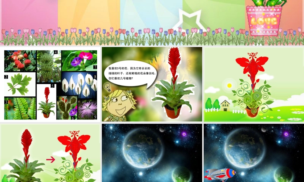 人教版一年级小学美术课件-《太空里的植物》课件1.ppt