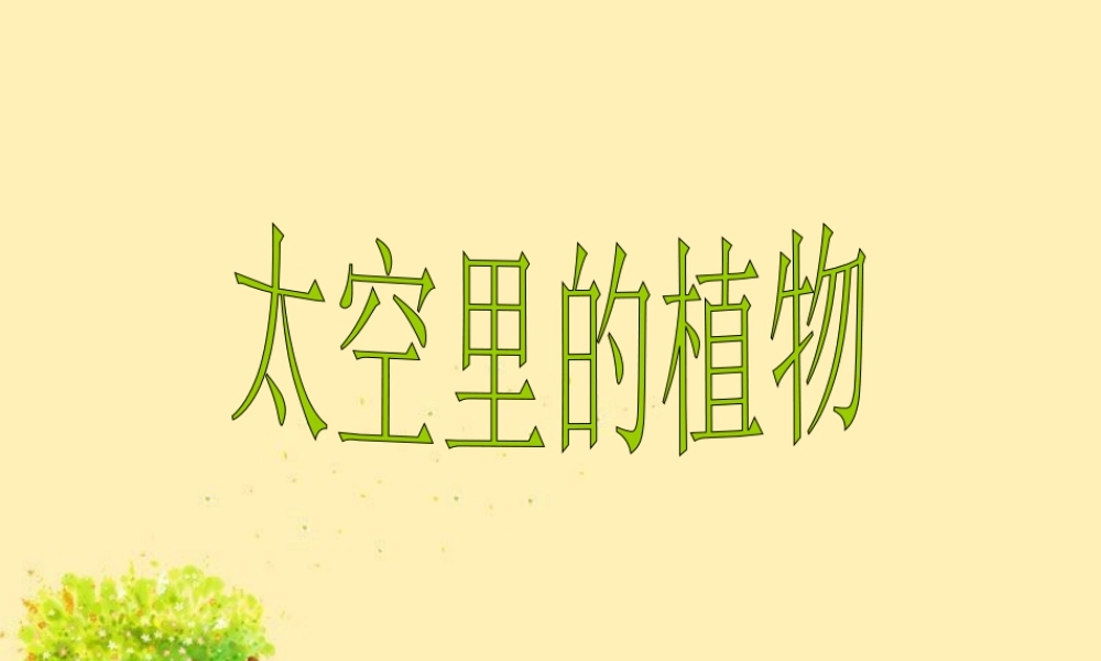 人教版一年级小学美术课件-《太空里的植物》课件2.ppt