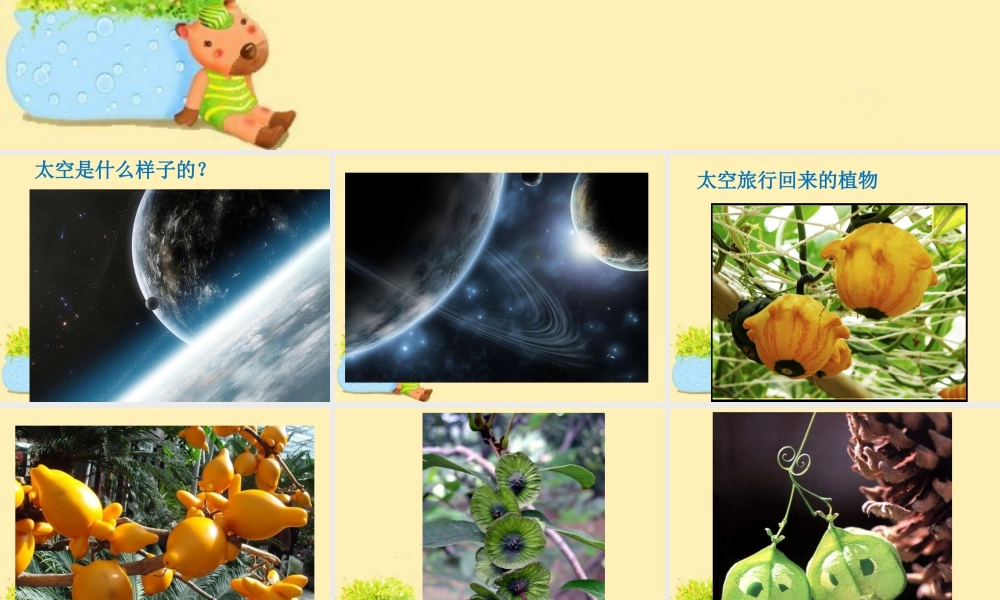 人教版一年级小学美术课件-《太空里的植物》课件2.ppt