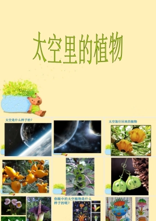 人教版一年级小学美术课件-《太空里的植物》课件2.ppt