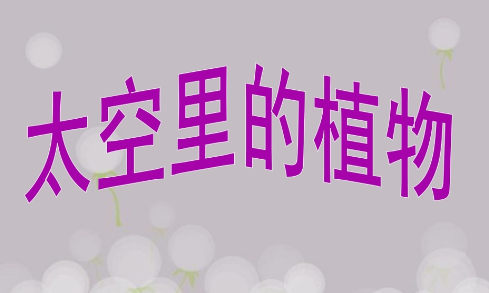 人教版一年级小学美术课件-《太空里的植物》课件3.ppt