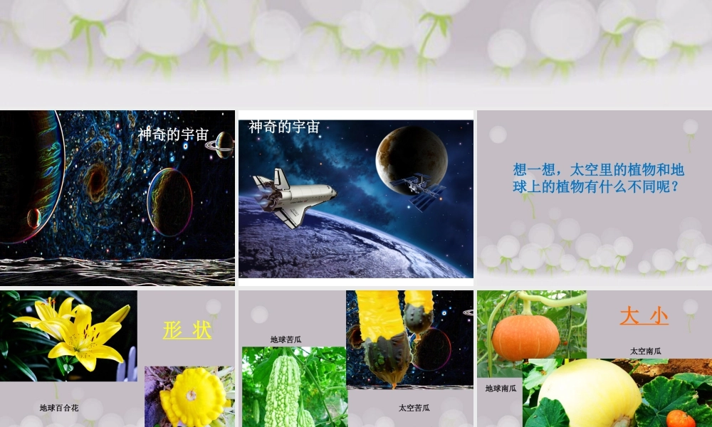 人教版一年级小学美术课件-《太空里的植物》课件3.ppt